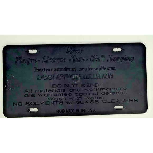 2001 Walt Disney World 30th Anniversary Booster License Plate Mirrored - Picture 5 of 6